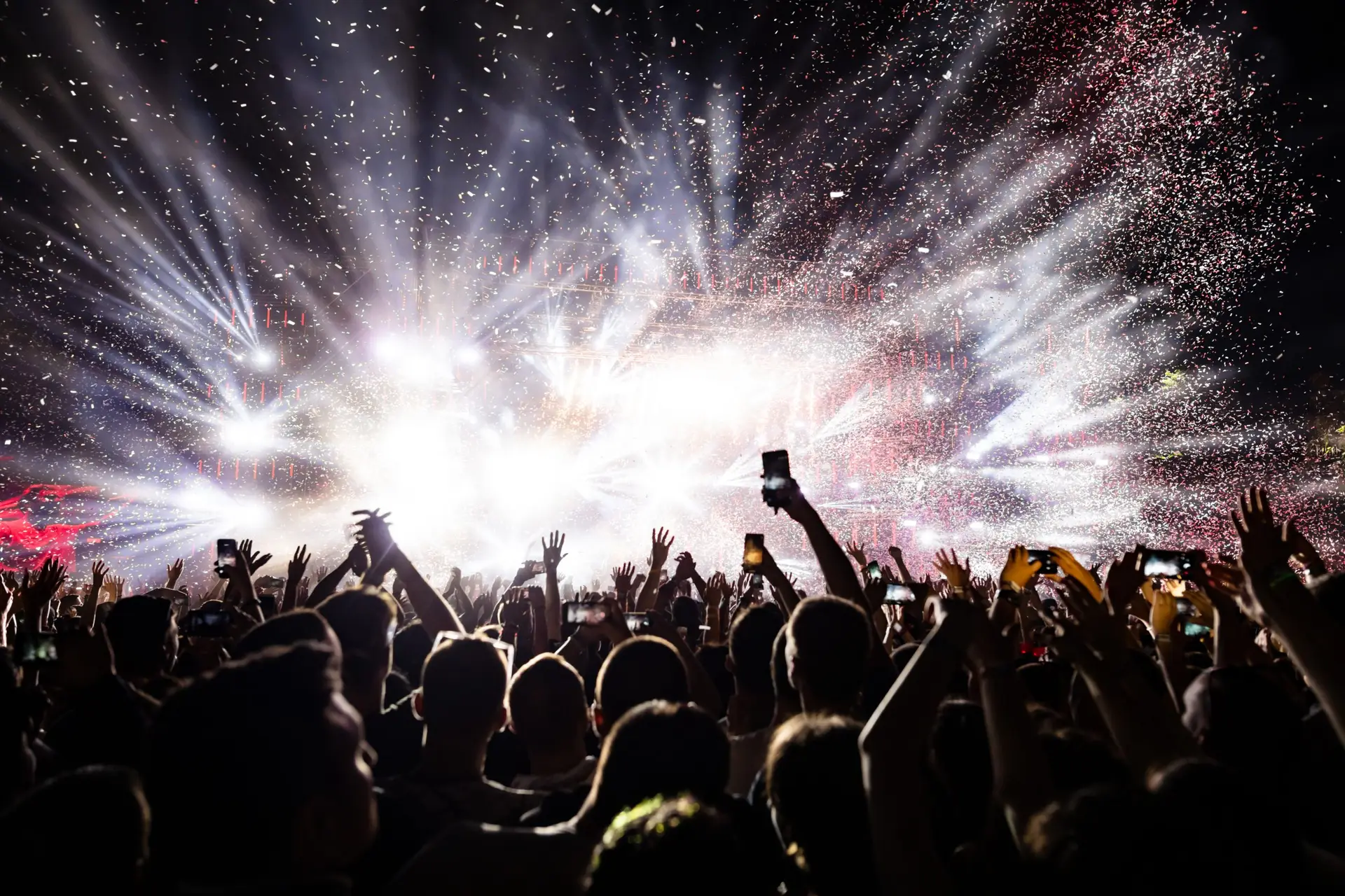Audience at music concert